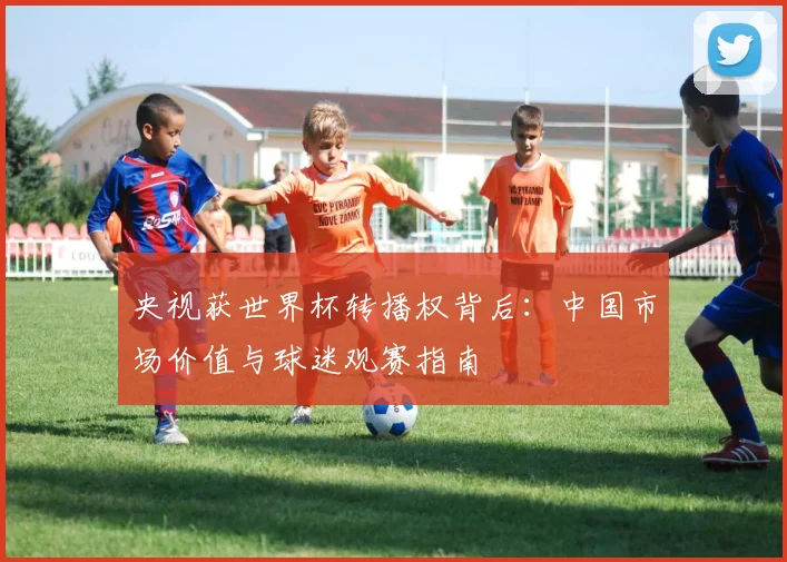 央视获世界杯转播权背后：中国市场价值与球迷观赛指南